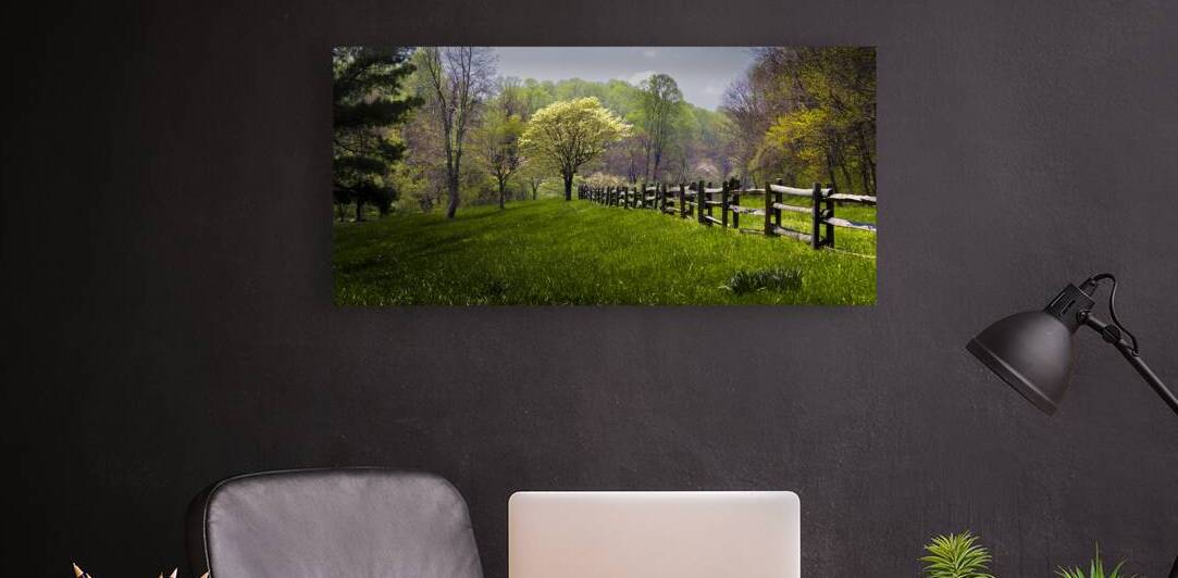 Peaks of Otter in Spring Blooms by Norma Brandsberg Photography