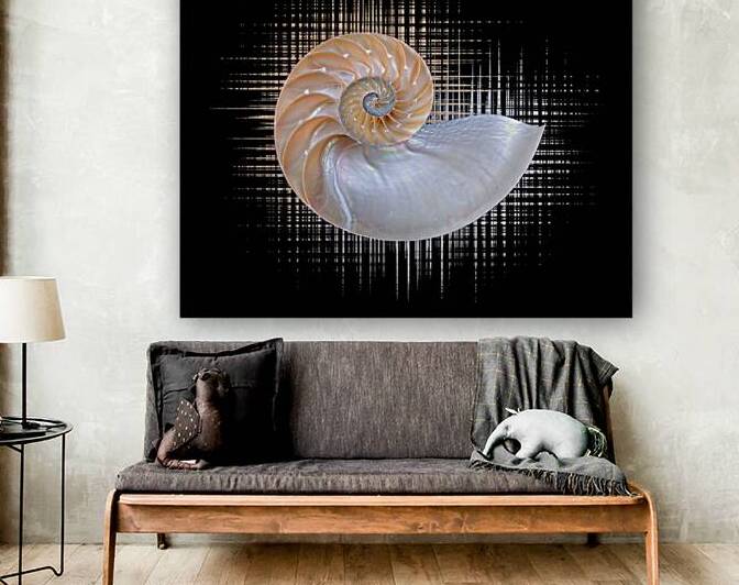 Nautilus Seashell Abstract by Gill Billington