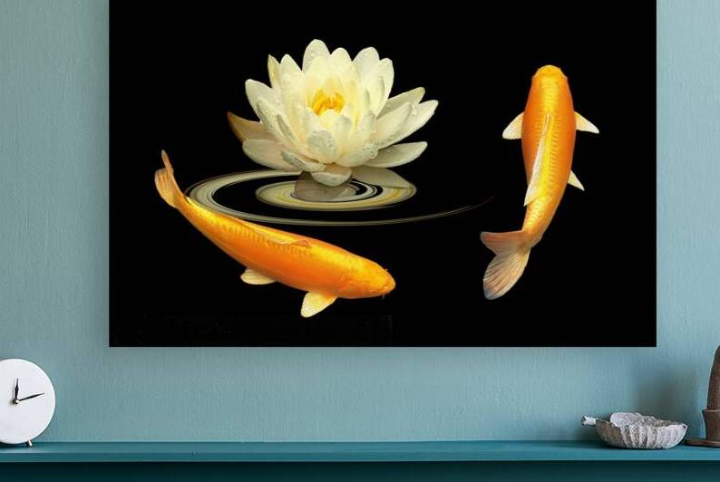 Circle of Life - Koi Carp with Water Lily by Gill Billington