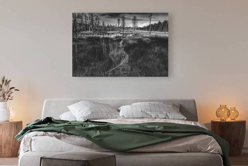 Pathway Through the Marsh by Norma Brandsberg Photography