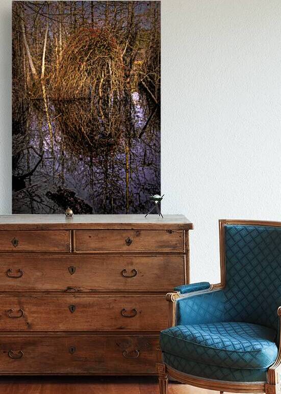 Marsh Colors of Winter by Norma Brandsberg Photography