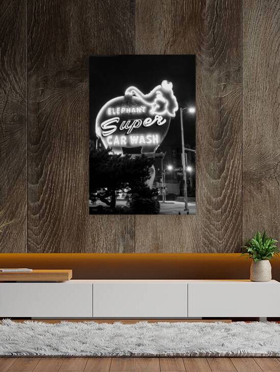 pink elephant car wash  vertical 2680 Elephant 13 by Black And White