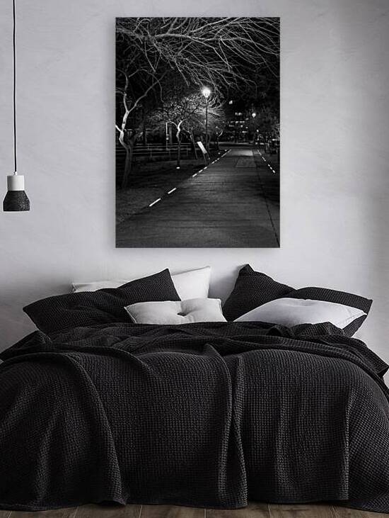 lit path near phoenix central station  vertical 1 by Black And White