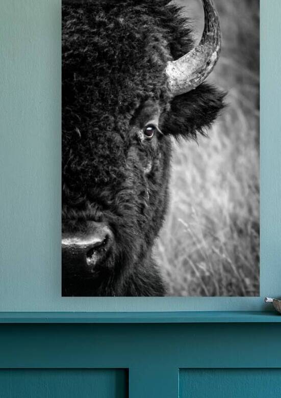 Soul Series Bison by Weekend Vibes Photography