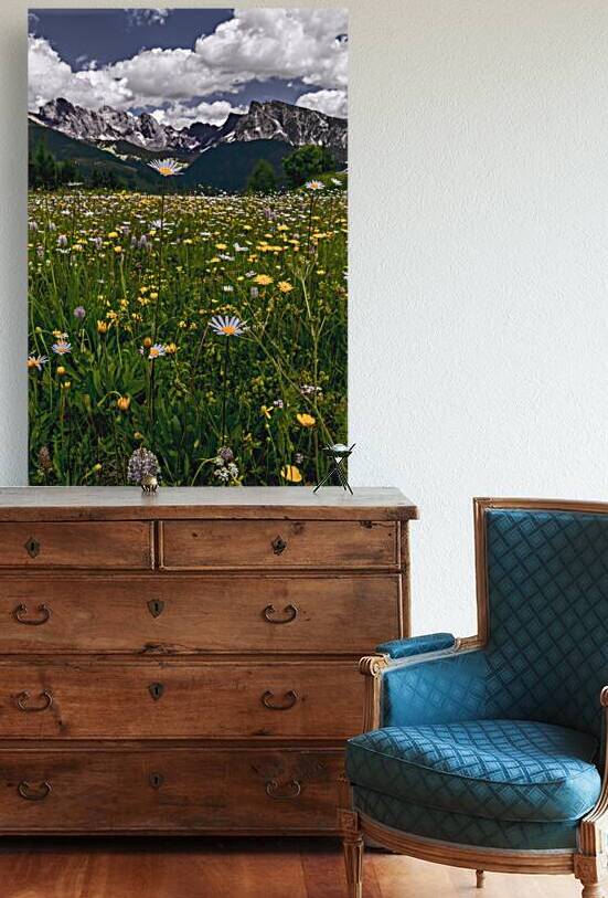 Summer in Full Bloom in the Dolomite Mountains by Norma Brandsberg Photography