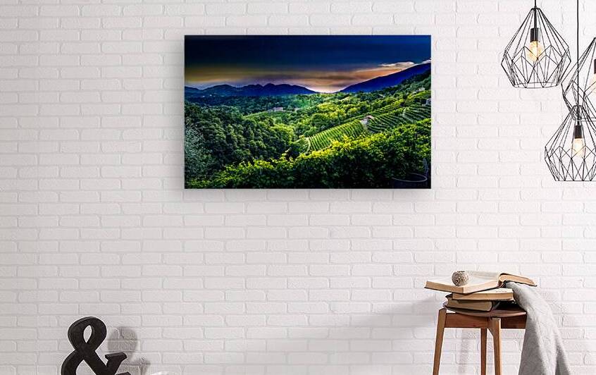 Italian Prosecco Winery Rows at Sunset by Norma Brandsberg Photography