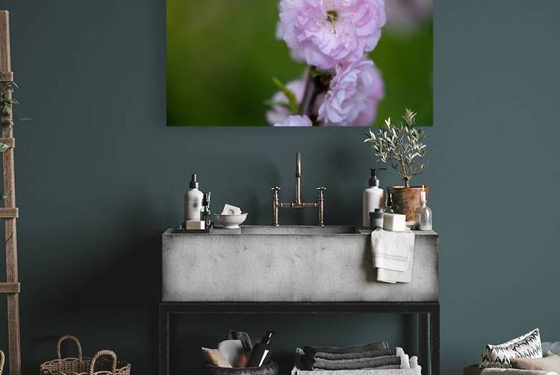 So Delicate by Suzanne Bonin