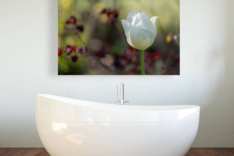 Snow White by Suzanne Bonin