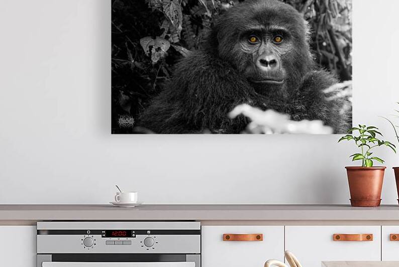 We Are Here Now by Nate Solo