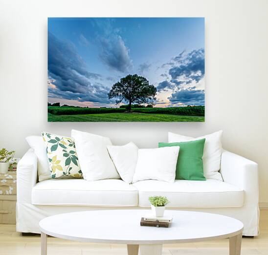 Oak Tree Sunset Skyscape by Jennifer White