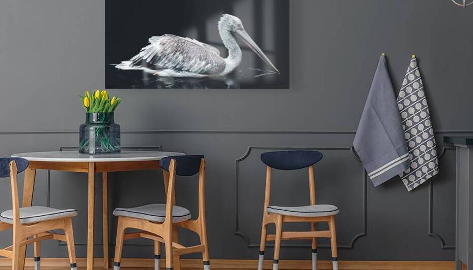 Dalmation Pelican by vanOgtrop Photography