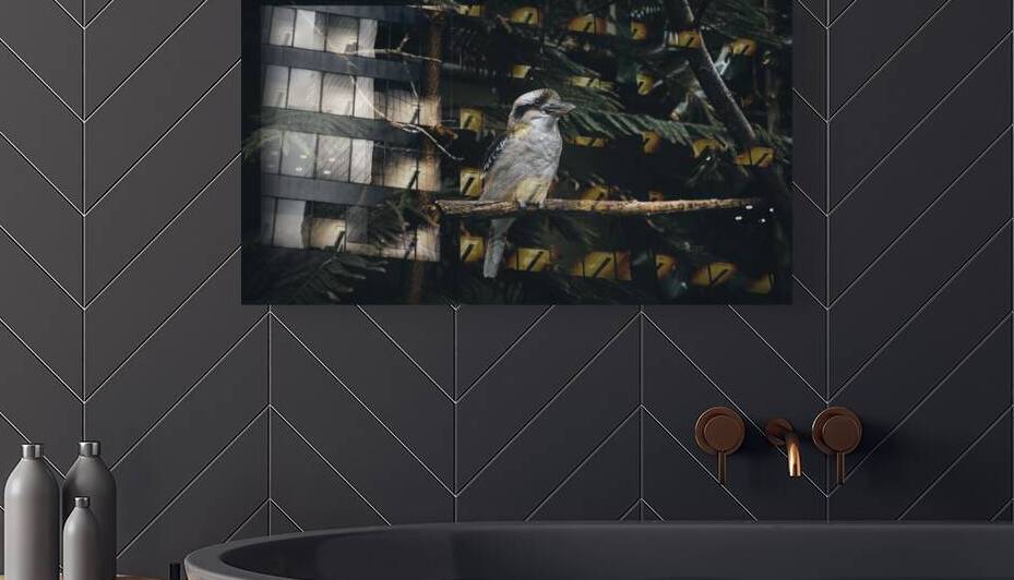  VOP5480 by vanOgtrop Photography