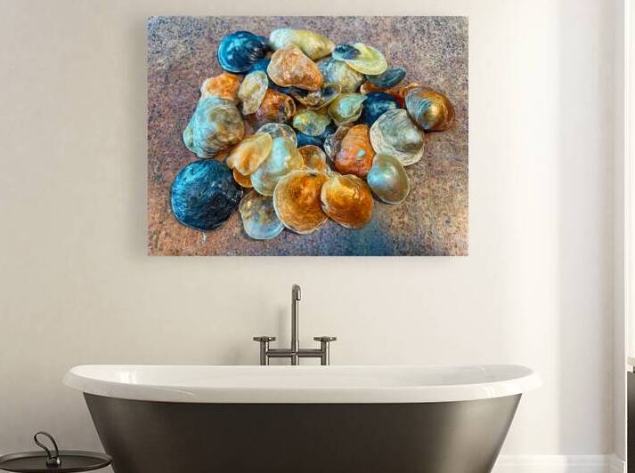 Jingles Seashells by Bill Swartwout Photography