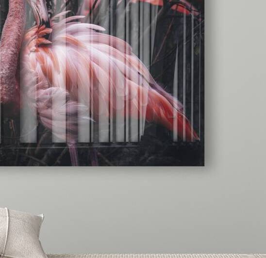 Flamingo by vanOgtrop Photography