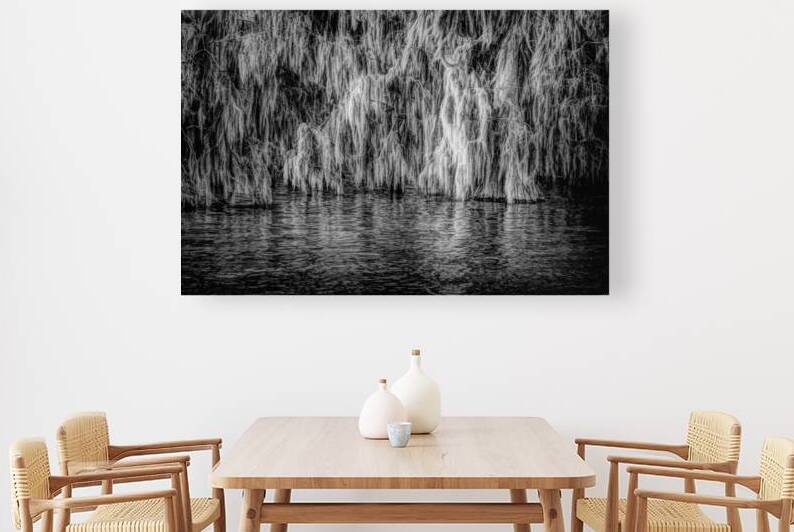 Louisiana Moss Reflections by Norma Brandsberg Photography