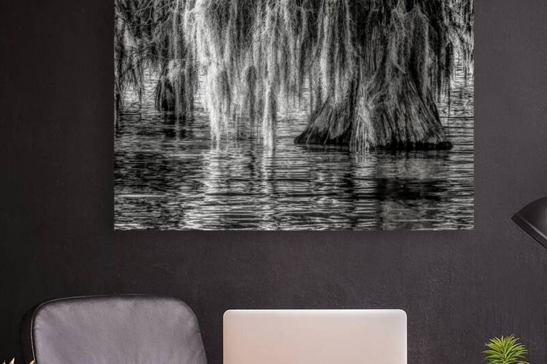 Cypress Tree Reflections by Norma Brandsberg Photography