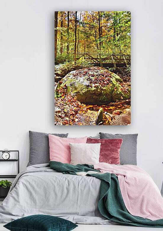  Autumn On The Bolder Vertical. by Lisa Wooten Photography