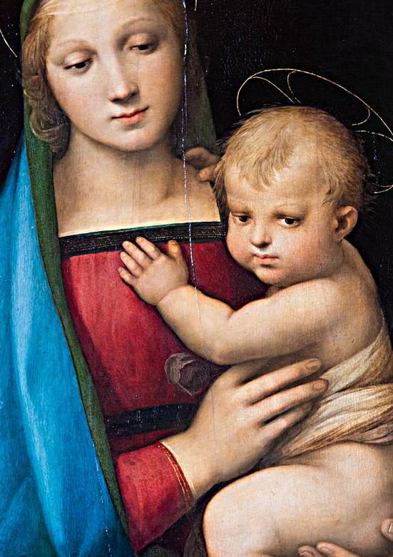Pitti Palace Museum Raffaello Sanzio - Raphael Madonna del Gra by Paolo Modena