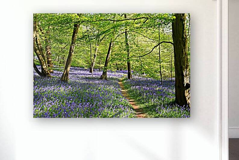 Walk In The Bluebell Wood by Gill Billington