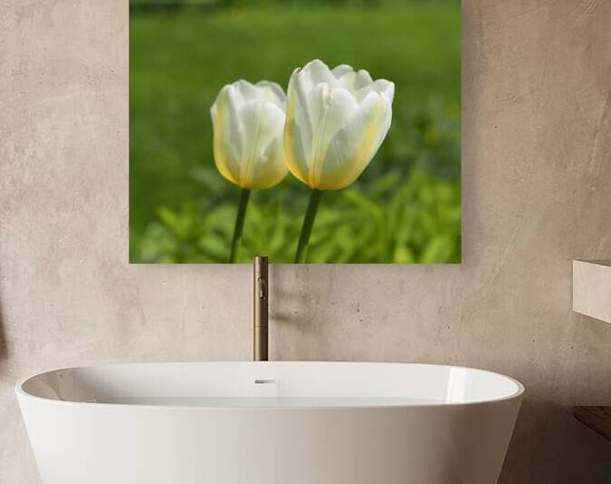 Yellow and White by Suzanne Bonin