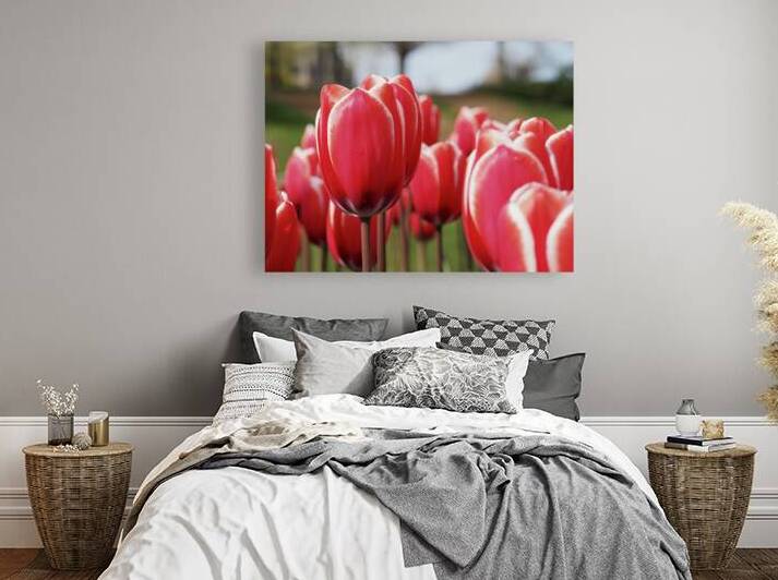 Look at Us by Suzanne Bonin