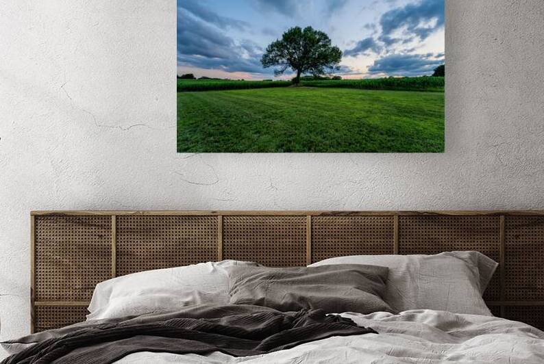 Oak Tree Farm Sunset by Jennifer White