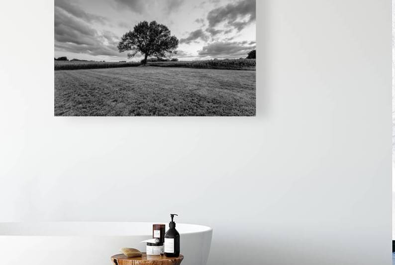 Oak Tree Farm Sunset Grayscale by Jennifer White