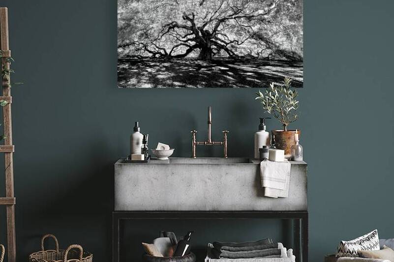 Angel Oak Through the Branches by Norma Brandsberg Photography