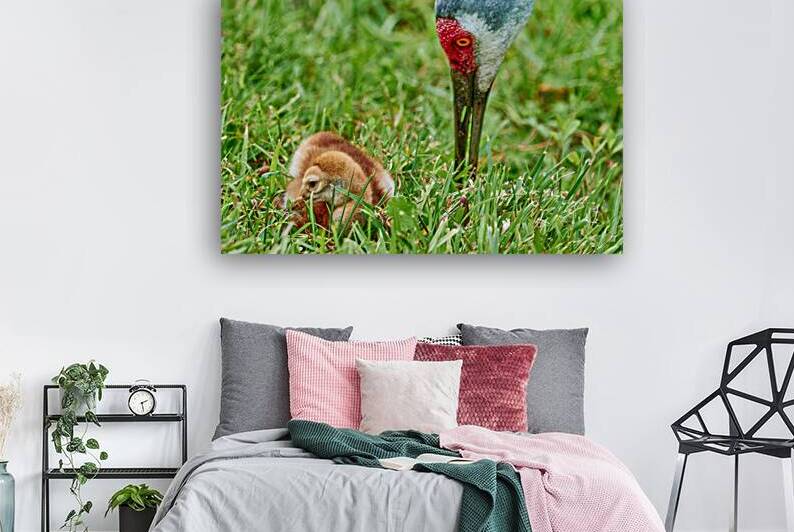 Mom and Colt by Darin E Hartley Photography