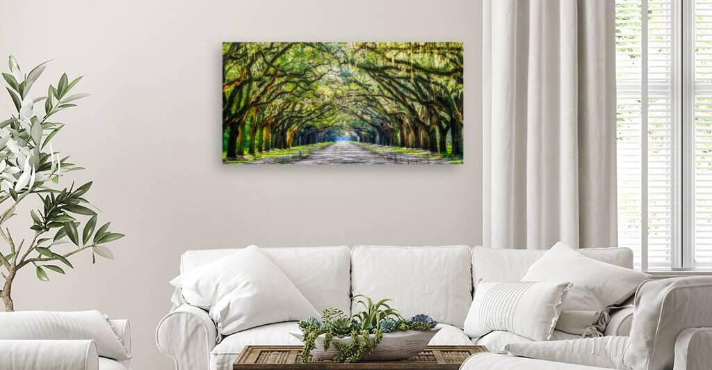 Mystic Wormsloe by Darryl Brooks