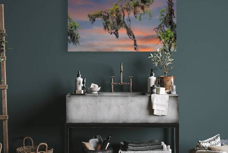 Spanish Moss at Dusk by Darryl Brooks