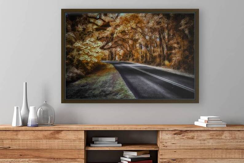 Ocala Secret: Infrared Curve by Dream World Images