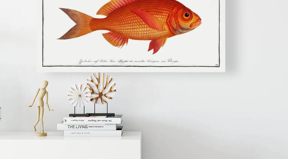 Large Eye Dentex by History In Your Home