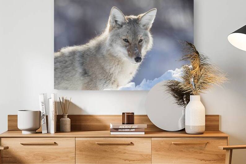 Not Coyote Ugly by Kevin Smith