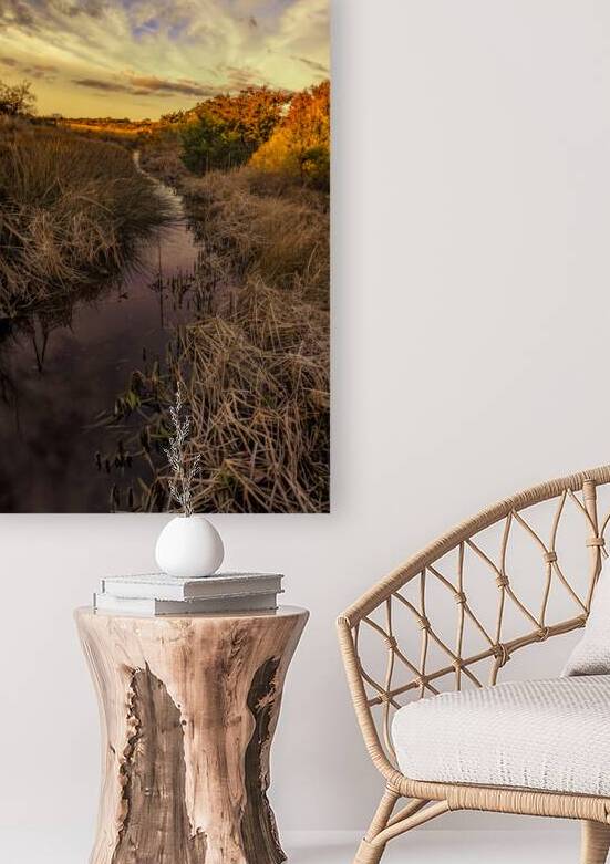 Huntington Beach Wetlands by Norma Brandsberg Photography