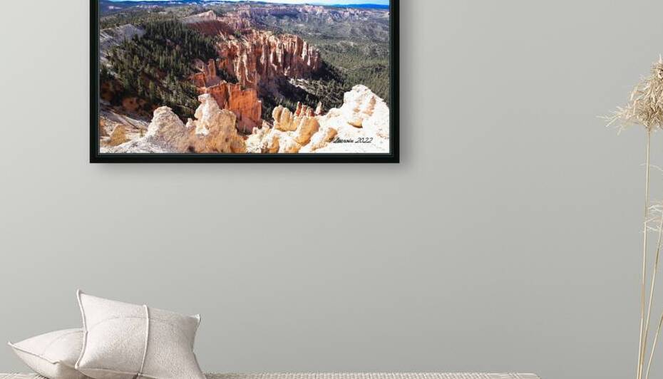 Bryce Canyon National Park  The Amphitheater by Tony Lacroix