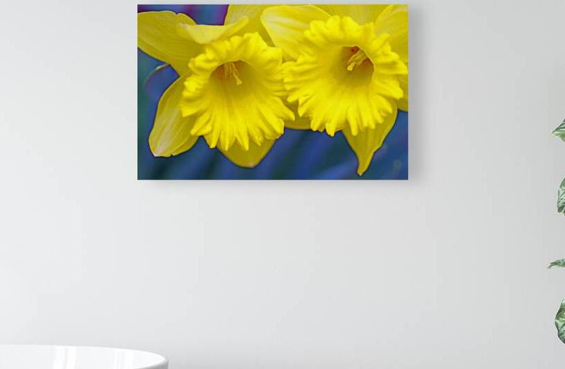 Daffydils by Deb Oppermann