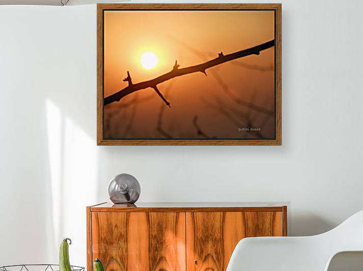 Nature at its best ! by Prachi Pushkar Buche Marathe