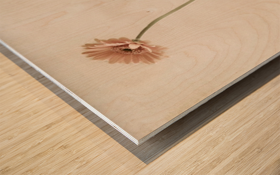 Miss Daisy Wood print