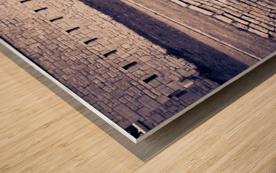 Fort Frederick At Rmc Wood print