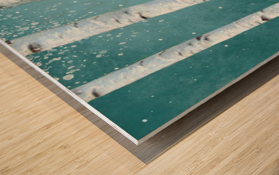 birch tree Wood print