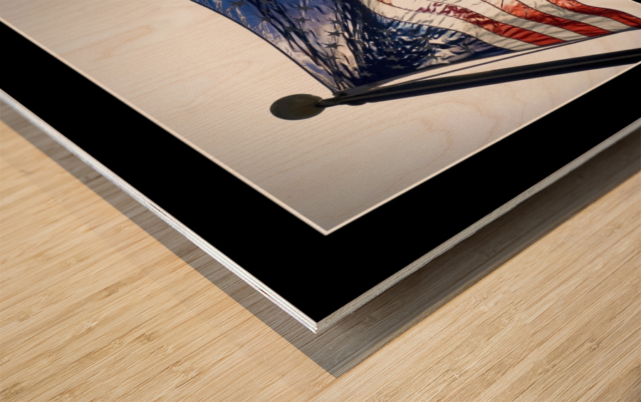 Independence: Inspirational Quote and Motivational Poster Wood print