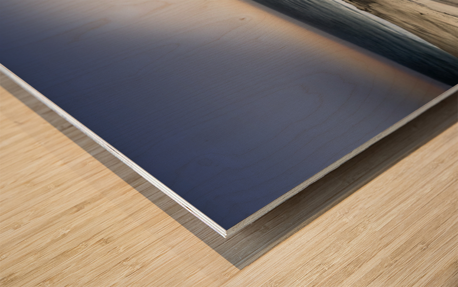 Reach for the sun Wood print