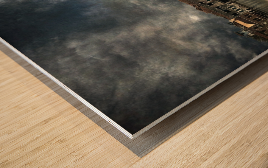 Reflections in Venice Wood print