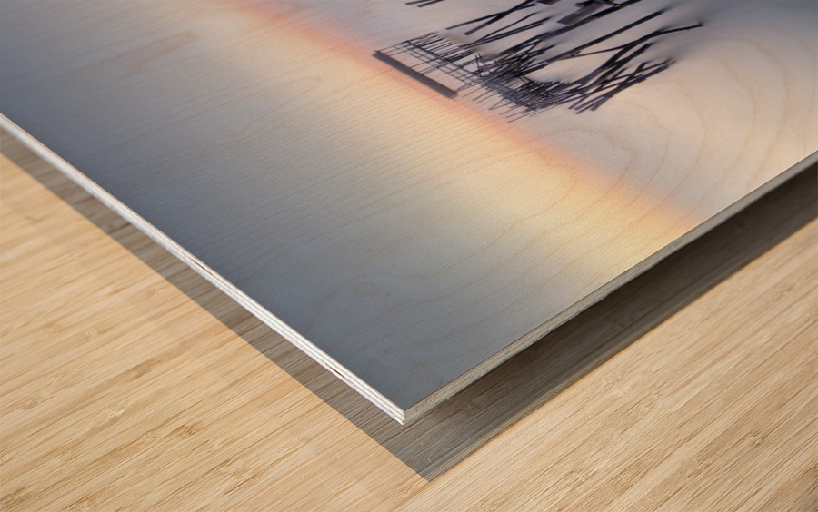 The Old Pier Wood print