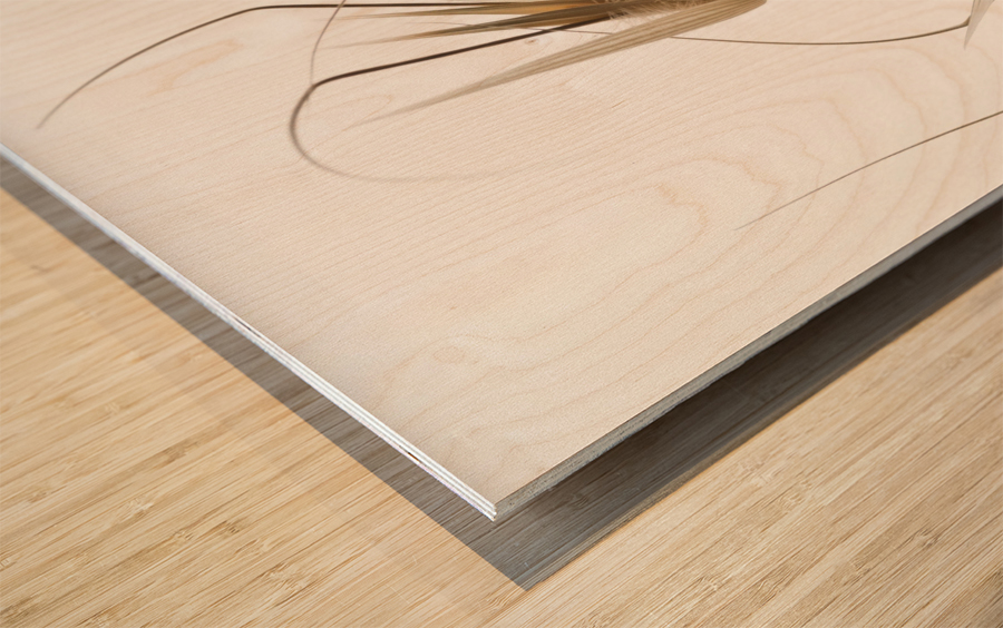 Delicacy of nature Wood print