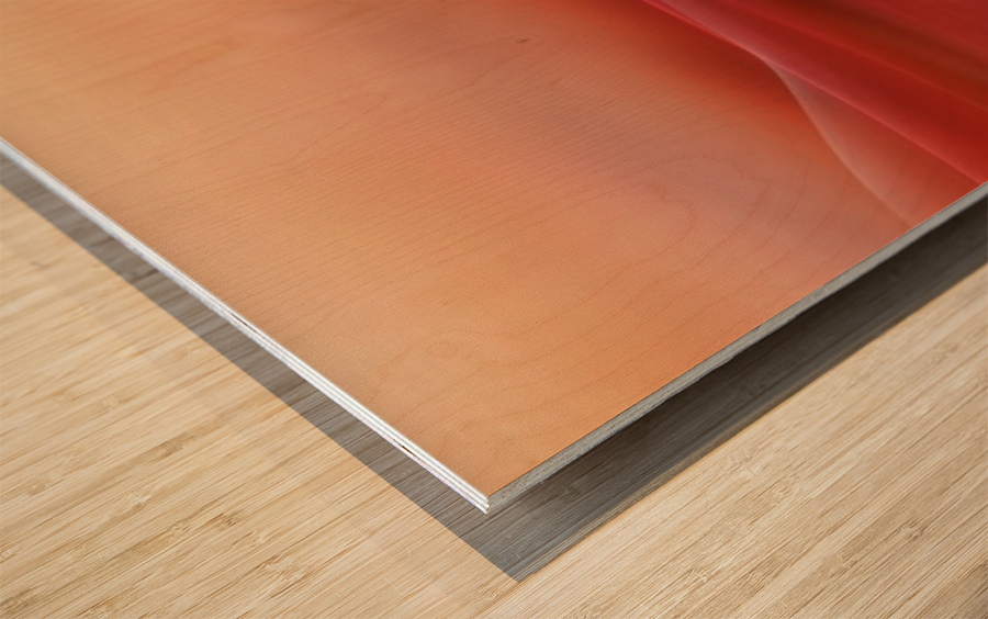 A new day Wood print