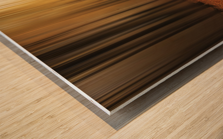 Path to unknown Wood print