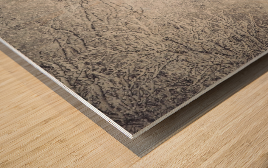 Snow storm charm Wood print