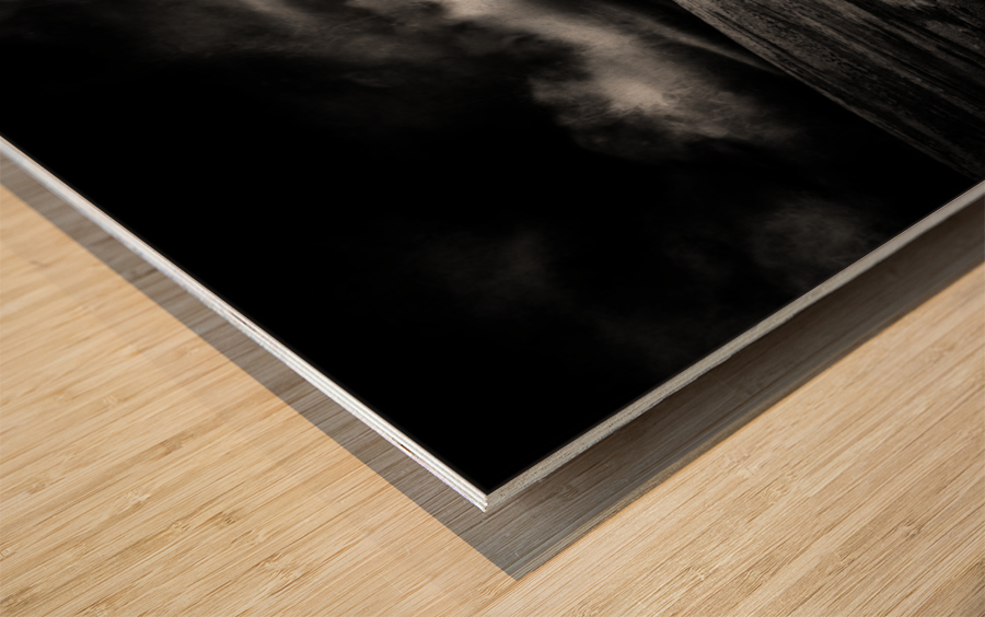 marram grass Wood print